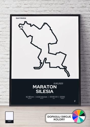 Maraton Silesia 2023_2
