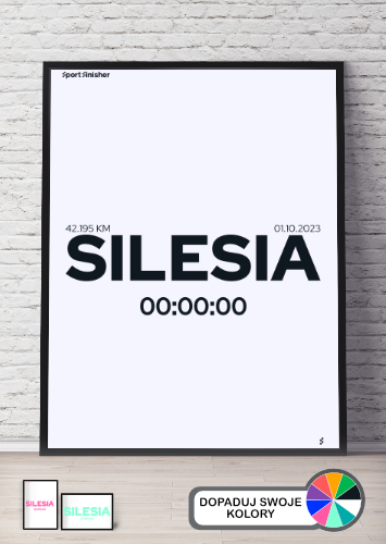 Maraton Silesia 2023_5